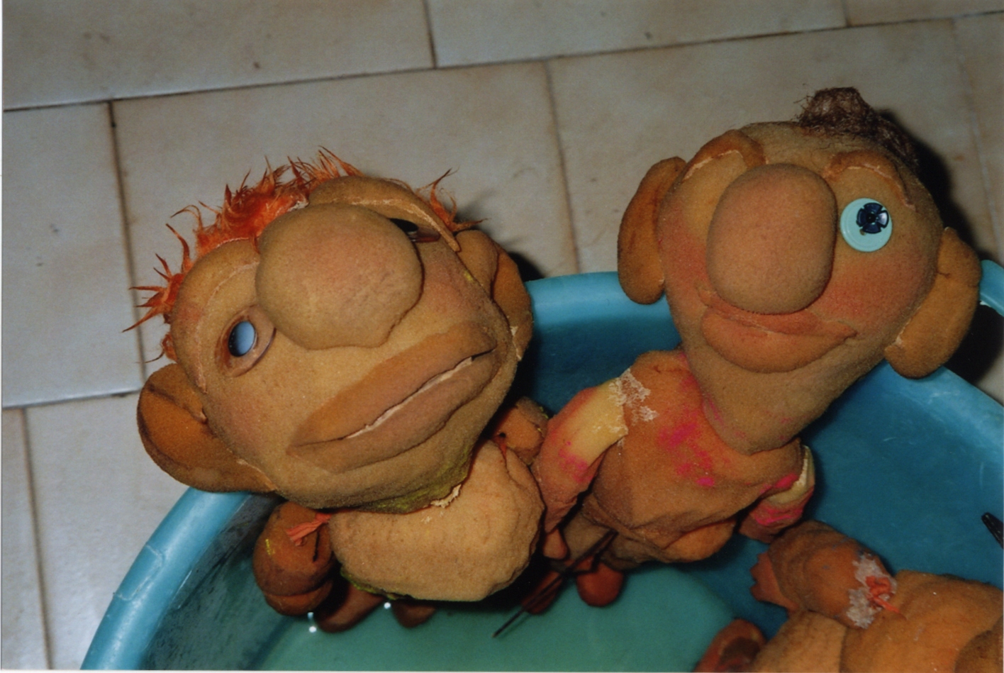 Burattini del nucleo Noci di Cocco durante il restauro